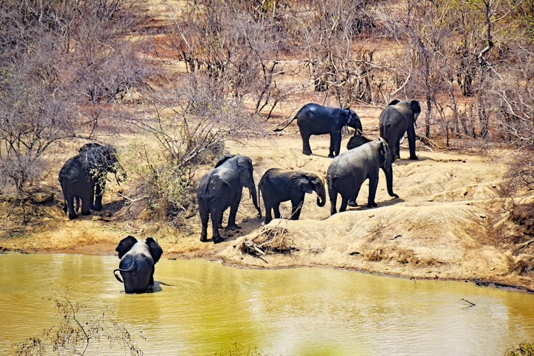 Steckbrief Ghana, Afrika