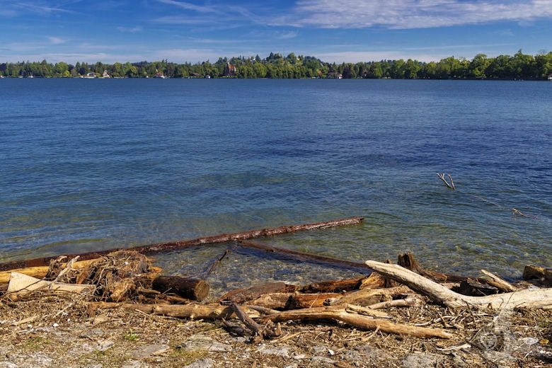 Lindauer Insel - Treibholz