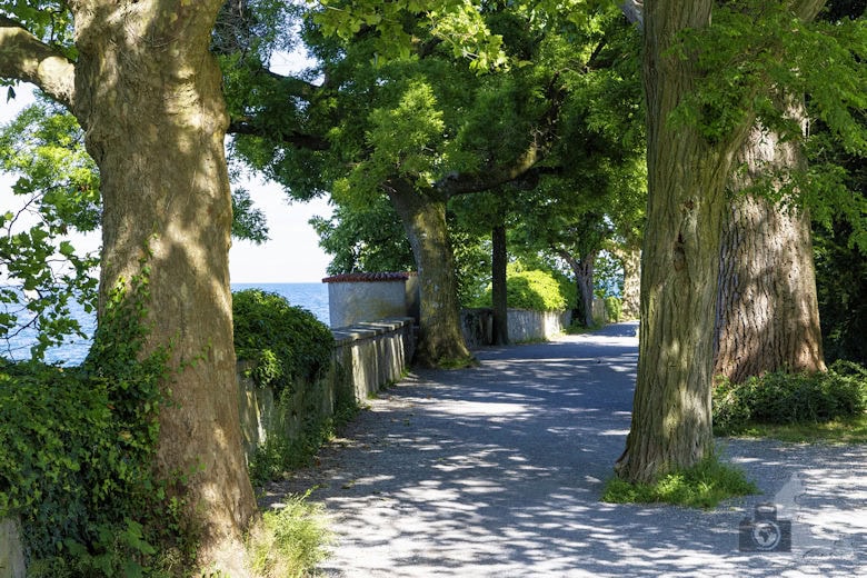 Lindauer Insel - Schützingerweg